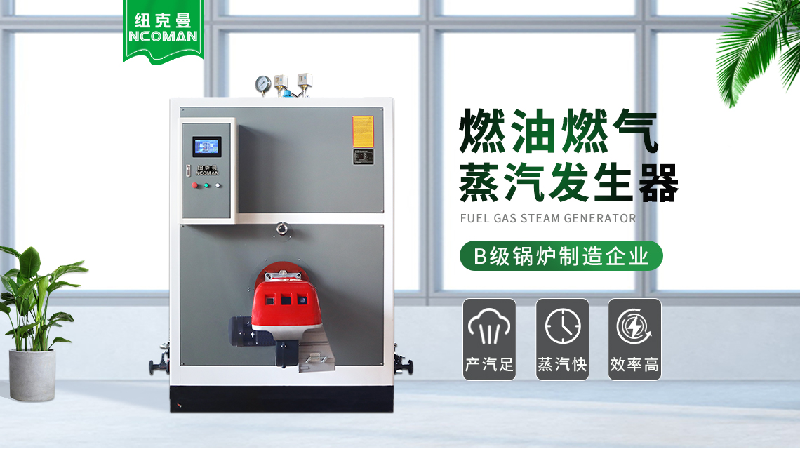 燃?xì)庹羝l(fā)生器